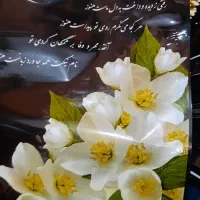پاکت بسته بندی مراسم ترحیم