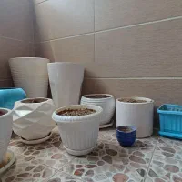 تعدادی گلدان با هم به فروش میرسد
