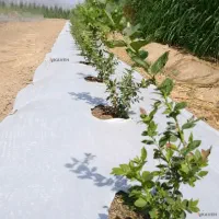 نایلون حفظ رطوبت خاک