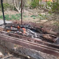 ا مشهد گردی طبیعت