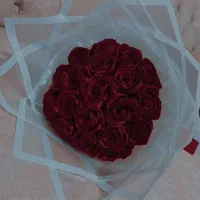 گل رز روبانی