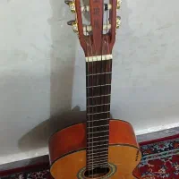 گیتار بست فان