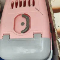 گربه|گربه|شیراز, فرگاز|دیوار