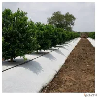 استخدام نیرو ماهر در باغ مرکبات