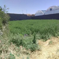 فرصت ویژه خریدزمین مسکونی رضوان ۳۳۰ متر