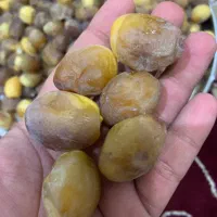 رطب برحی اصل