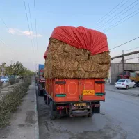 کلش پرس گندم