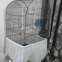 قفس پرنده