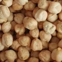 نخود تازه