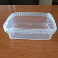 ظروف ماکروفر
