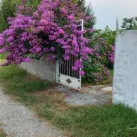 280مترزمین-داخل-شهرک-بانگهبانی24ساعته