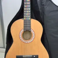 گیتار پارسی مدل M1