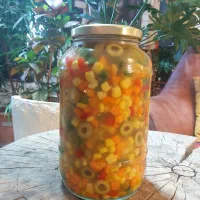 تررشی خانگی