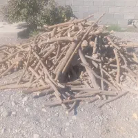 برش با خودمان|خدمات باغبانی و درختکاری|سندرک, |دیوار