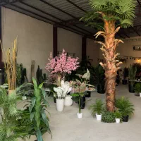 درخت پالم واشنگتن مصنوعی  (درختچه مصنوعی )