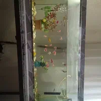 اکواریوم