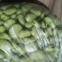 باقلا پاک شده