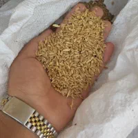 گندم ۴۰۰ کیلو