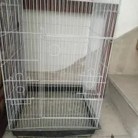 قفس پرنده و لانه