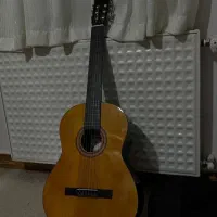 گیتار کره ای Steiner بهمراه کاور