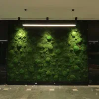خدمات برق و صوت و تصویر