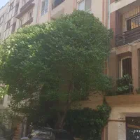 فروش کلنگی ۲۱۰متری /همیلا/پونک
