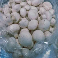 قارچ تازه