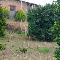 خانه-ویلایی-بلده-اوز-رود-چشم-انداز-ابدی