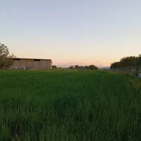 فروش زمین کشاورزی