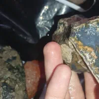 عقیق سوسنی