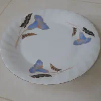 بشقاب تک خیارخوری