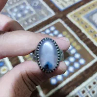 شجر تک درخت تخفیف پای معامله