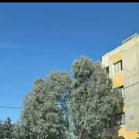 اجاره پیلوت/آبنوس