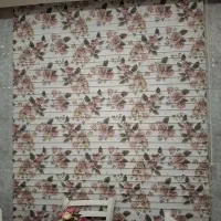 پرده زبرا در