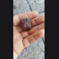 مهره
