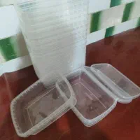 ظروف غذا