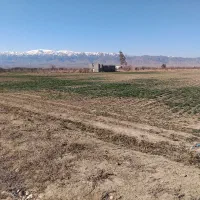 فروش زمین باغی