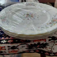 بشقاب آرکوپال