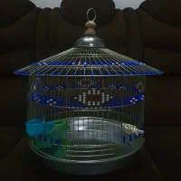 سهره قفس خاکی
