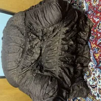 کاور مبل هفت نفره
