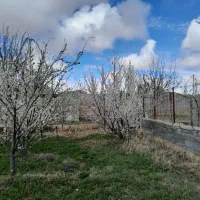 باغ آماده در بهترین نقطه شهر