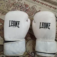 دستکش بوکس تمیز