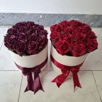 گل روبانی