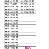 09195032599