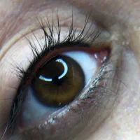 تتو|خدمات زیبایی و سلامت|مسجد سلیمان, |دیوار