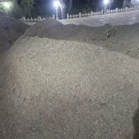 کاه کنگر