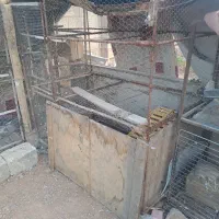 قفس مرغ و کبوتر