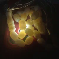 سنگ تسبیح اصل