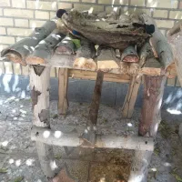 میز سنتی چوب گردو