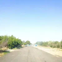 زمین 250 متری سند دار